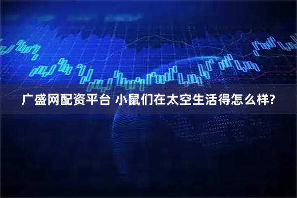 广盛网配资平台 小鼠们在太空生活得怎么样?