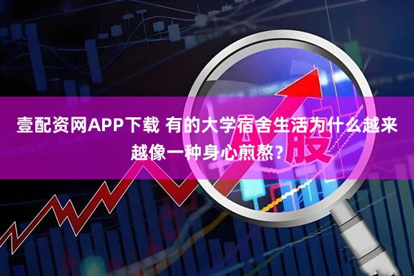 壹配资网APP下载 有的大学宿舍生活为什么越来越像一种身心煎熬？