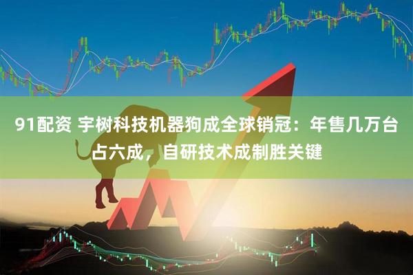 91配资 宇树科技机器狗成全球销冠：年售几万台占六成，自研技术成制胜关键