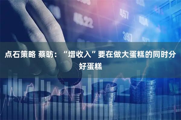 点石策略 蔡昉：“增收入”要在做大蛋糕的同时分好蛋糕